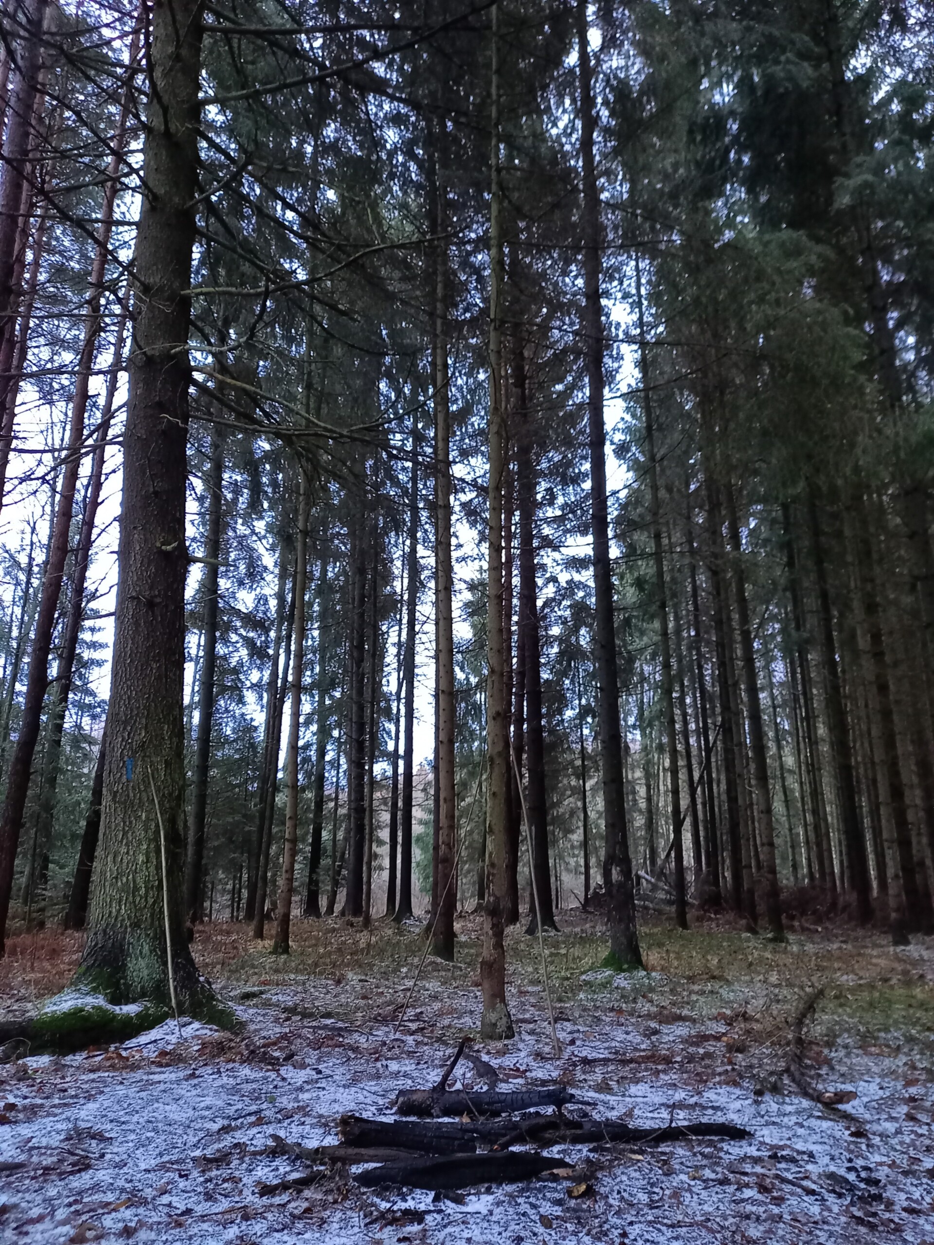 Poland Belarus border 2021 1